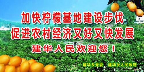 大埝镇人口_江浦水墨大埝图片