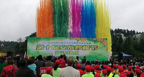 图明星助阵第十届安岳柠檬节启幕