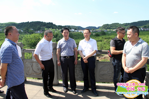 图四川欧华金马投资有限公司到安岳县考察