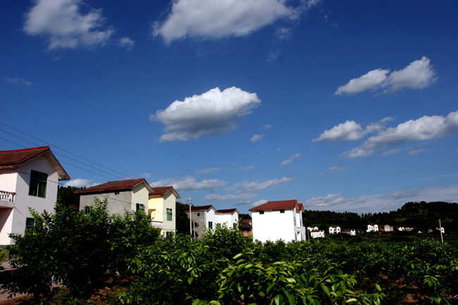 水观村农民新村